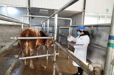 永利304官网唯一,永利集团304官网,304永利集团(中国)官网入口食品 永利304官网唯一,永利集团304官网,304永利集团(中国)官网入口食品