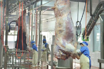 永利304官网唯一,永利集团304官网,304永利集团(中国)官网入口食品 永利304官网唯一,永利集团304官网,304永利集团(中国)官网入口食品
