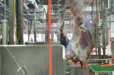 永利304官网唯一,永利集团304官网,304永利集团(中国)官网入口食品 永利304官网唯一,永利集团304官网,304永利集团(中国)官网入口食品